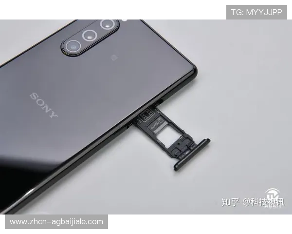 深入分析PA视讯集团首页提供的多样化产品线与客户定制化服务优势